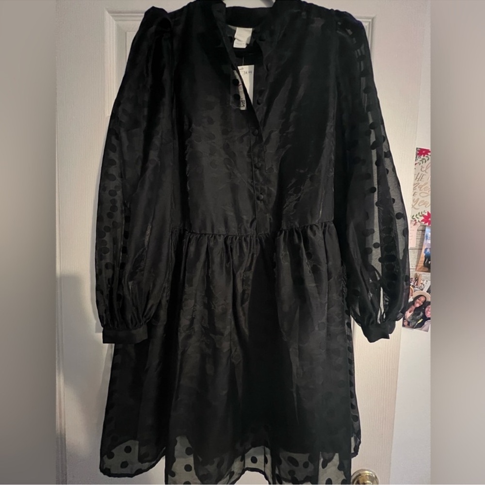 Elegant Black Sheer Dress